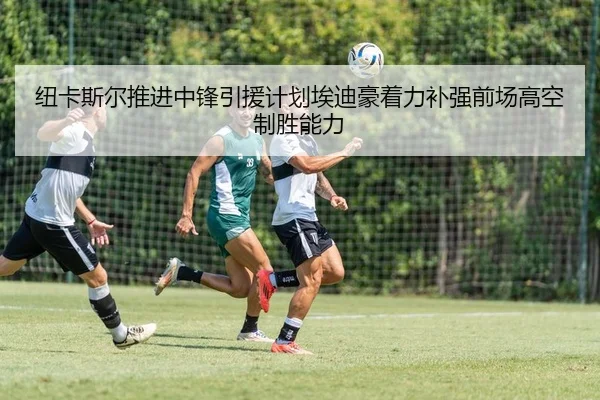 纽卡斯尔推进中锋引援计划埃迪豪着力补强前场高空制胜能力